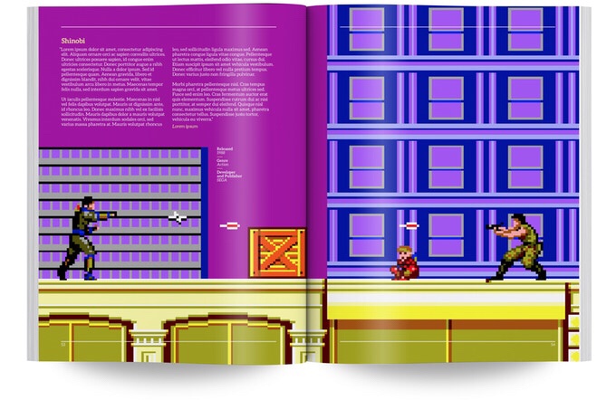 Shinobi SEGA Master Sytem sample page