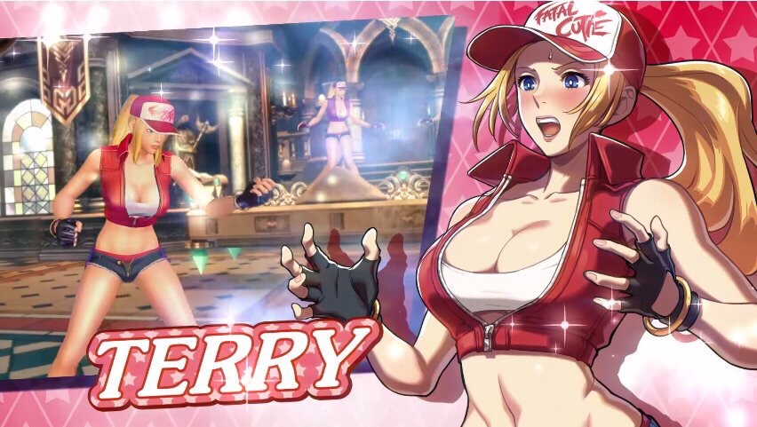 Terry Bogard Fatal Cutie Fighting Ex Layer