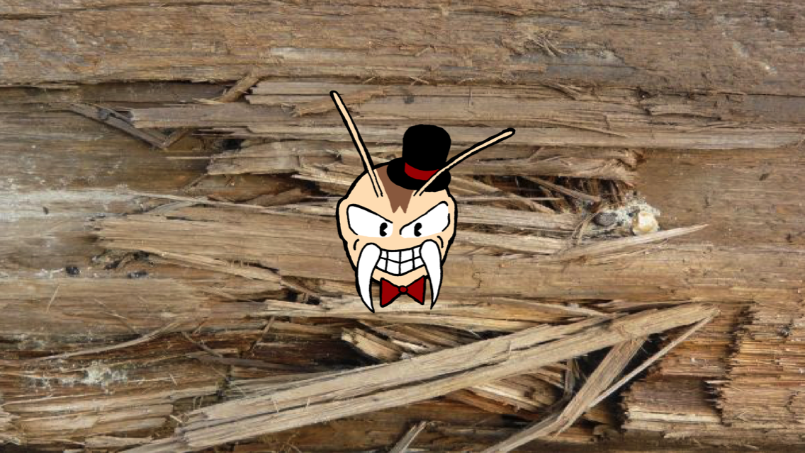 The Splintering is growing… and you can help us do even more | The ...