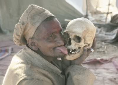 Chomp_Bites_One_off_the_splintering_Mr_Bones_skull_lick